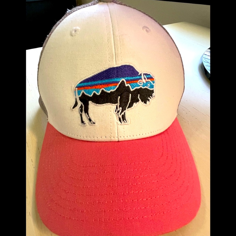 Patagonia trucker Cap